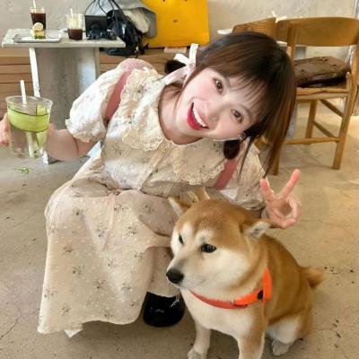 血玫瑰